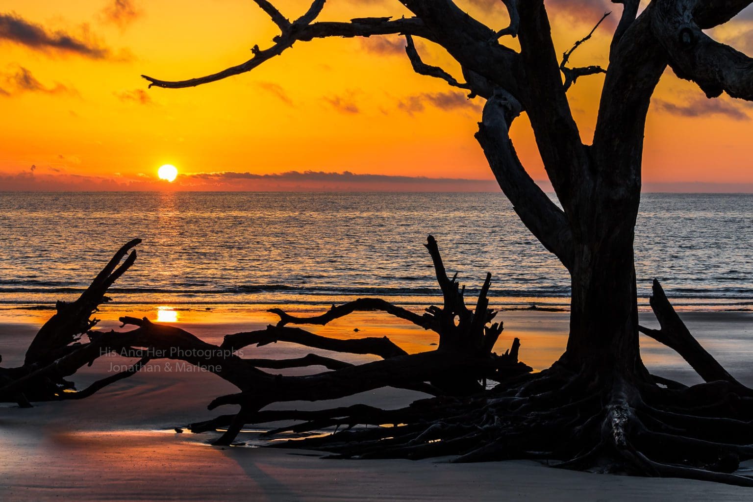 Jekyll Island Collection Photo Sunrise on Driftwood Beach, Jekyll